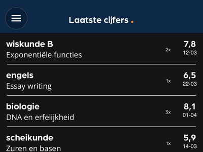 Cijfer Overzicht Preview